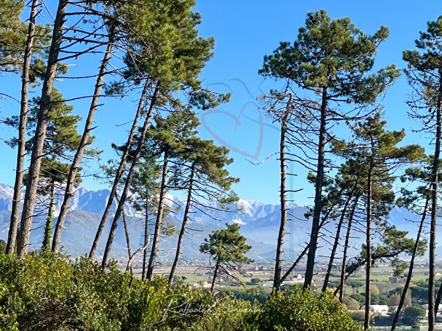 Immagine 12 di Casa bifamiliare in vendita  in via della Pace a Ameglia