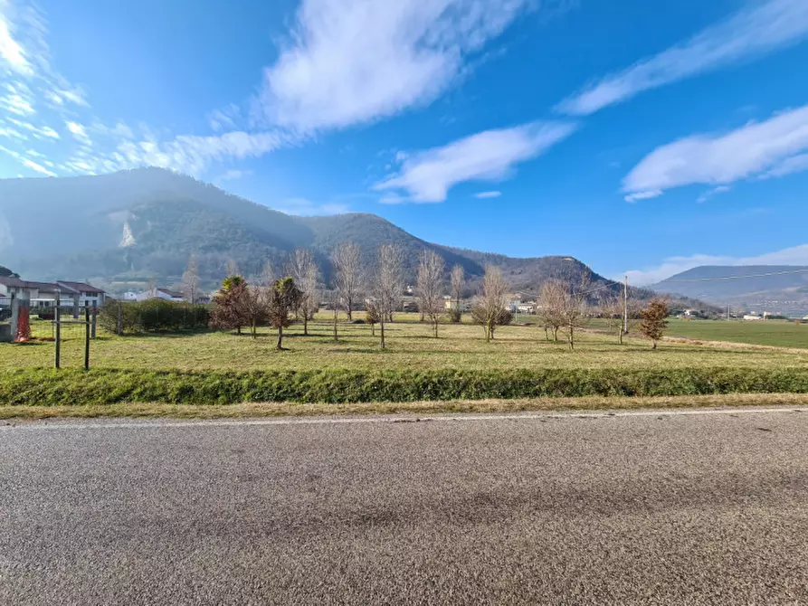 Immagine 1 di Terreno in vendita  in VIA EROI DELLA DIVISIONE ACQUI a Monselice