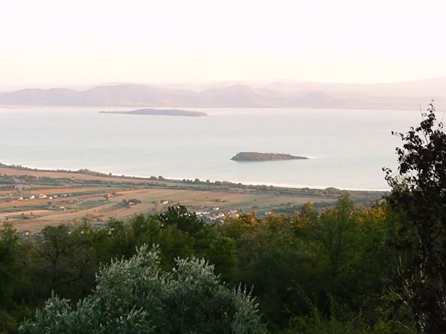 Immagine 8 di Villa in vendita  a Tuoro Sul Trasimeno