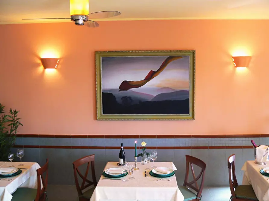 Immagine 10 di Villa in vendita  a Tuoro Sul Trasimeno