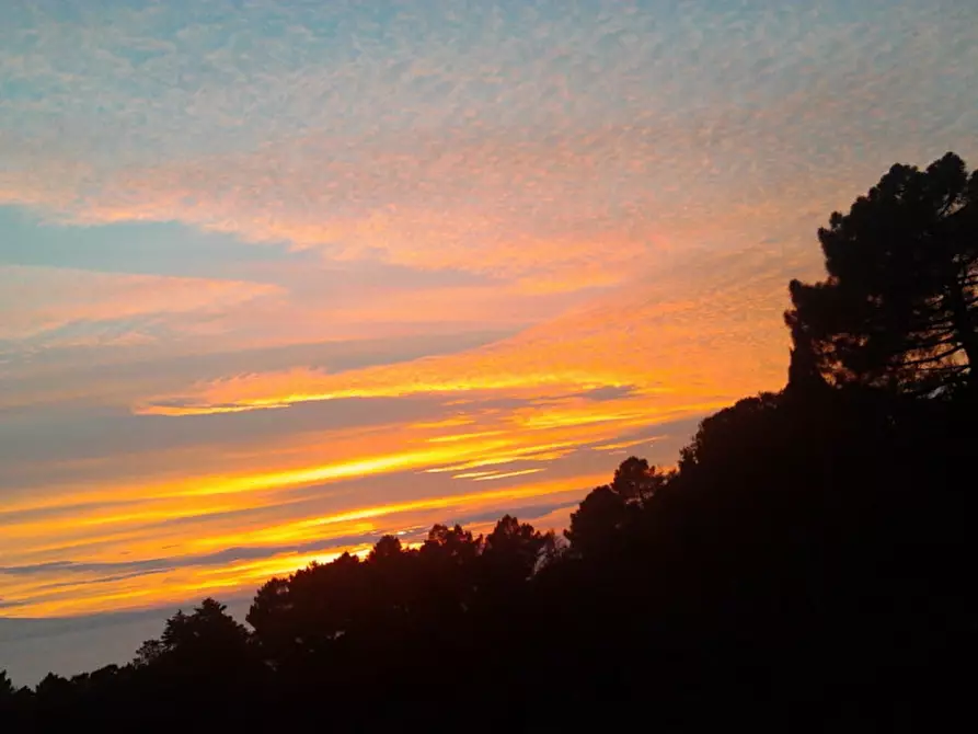 Immagine 22 di Villa in vendita  a Tuoro Sul Trasimeno