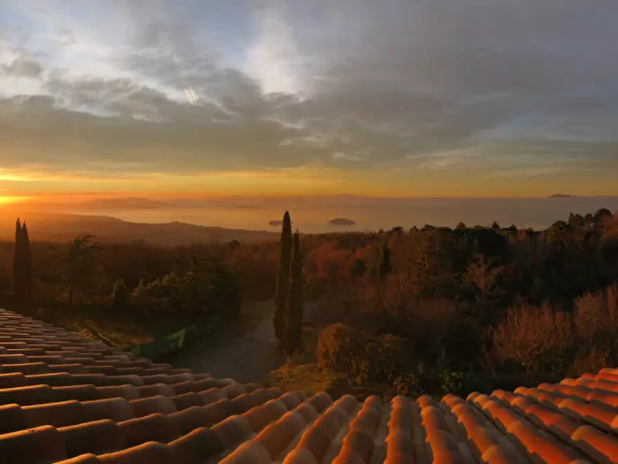 Immagine 23 di Villa in vendita  a Tuoro Sul Trasimeno