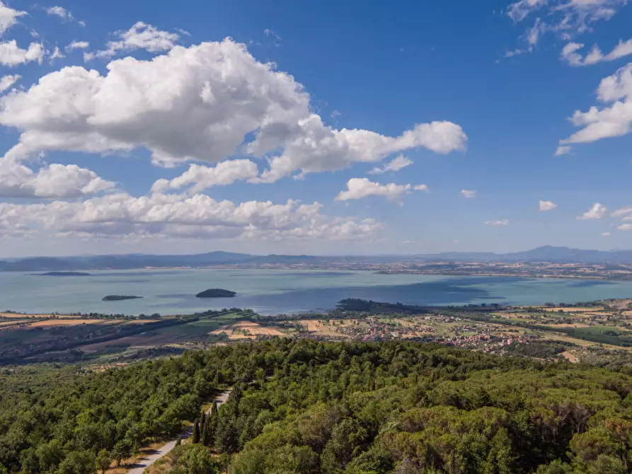 Immagine 25 di Villa in vendita  a Tuoro Sul Trasimeno