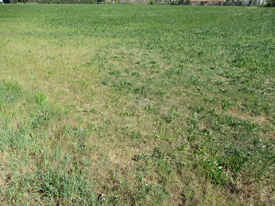 Immagine 6 di Terreno in vendita  in via treviso a Trevignano