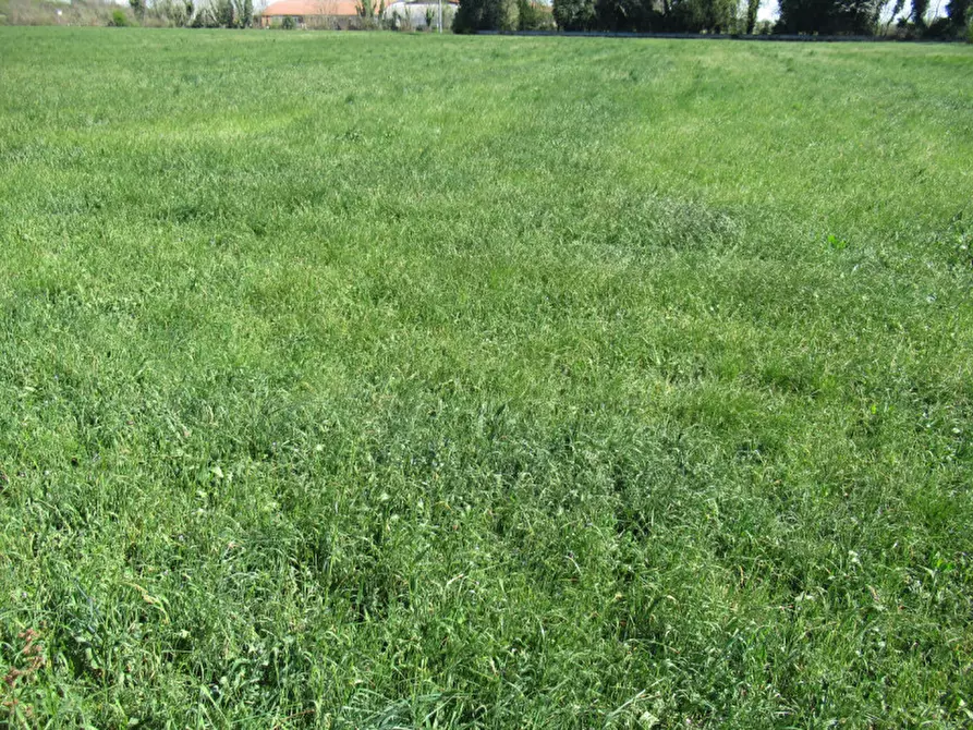 Immagine 13 di Terreno in vendita  in via treviso a Trevignano