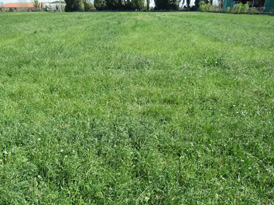 Immagine 15 di Terreno in vendita  in via treviso a Trevignano