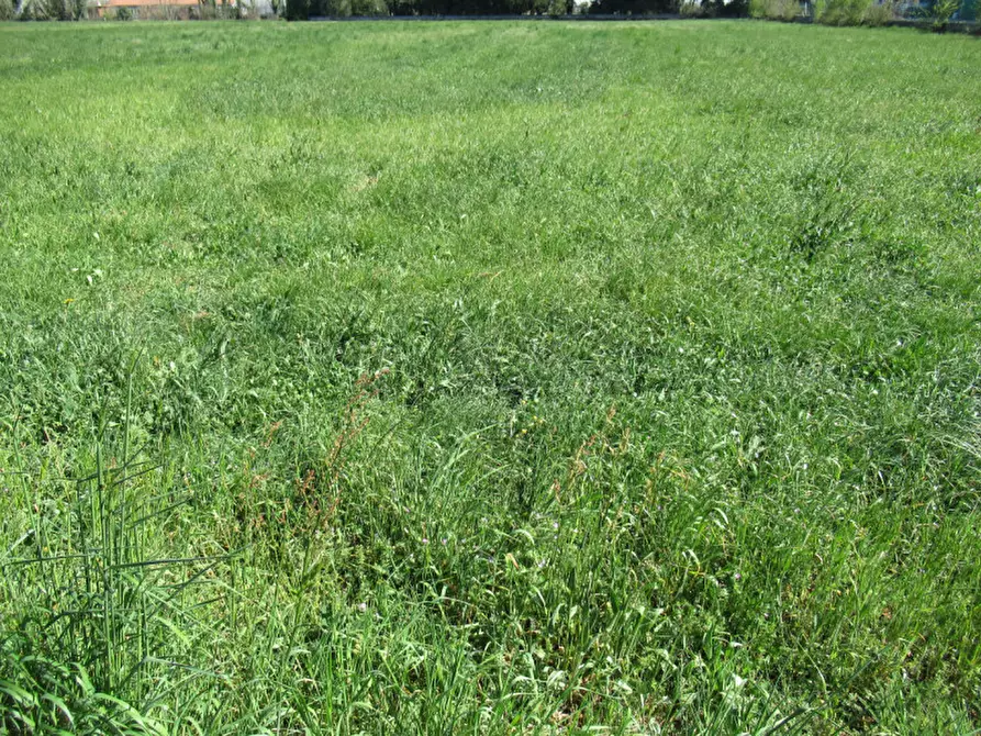 Immagine 16 di Terreno in vendita  in via treviso a Trevignano