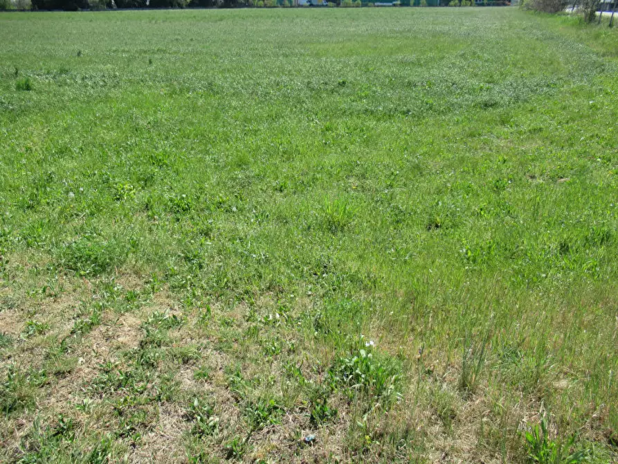 Immagine 18 di Terreno in vendita  in via treviso a Trevignano