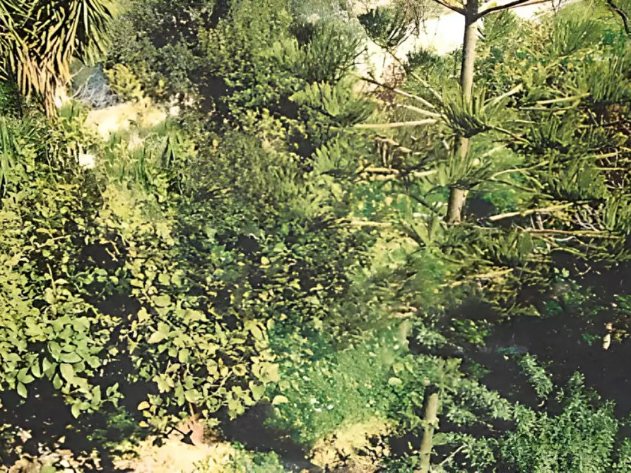 Immagine 19 di Casa indipendente in vendita  in Via Villarious 7 a Giba