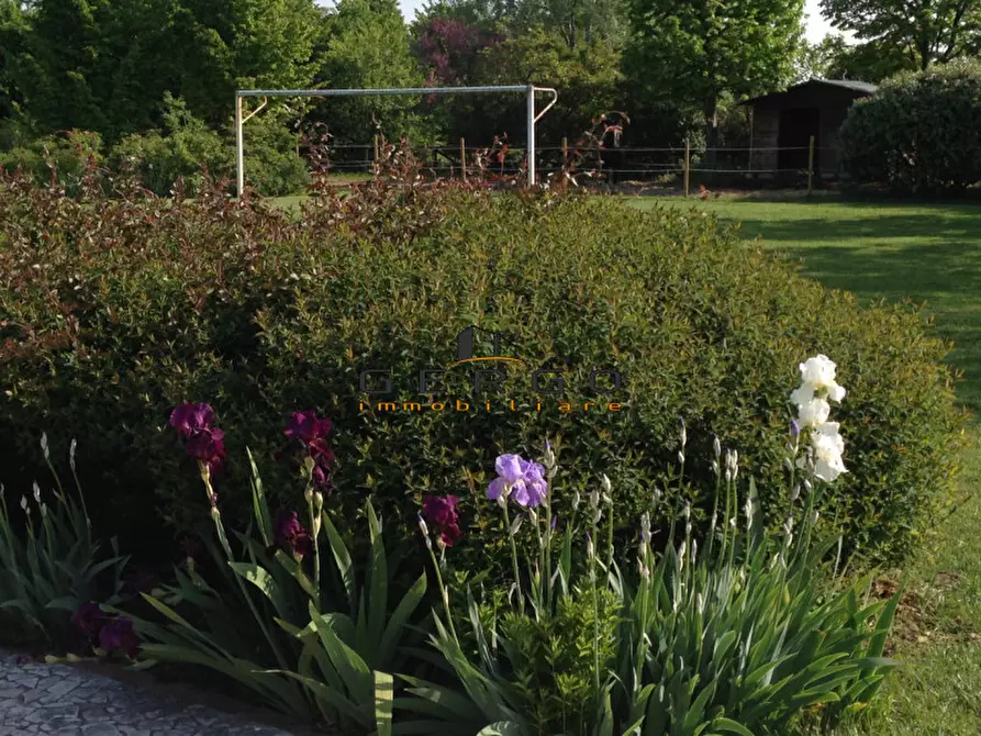 Immagine 16 di Villa in vendita  in Via Roma a San Biagio Di Callalta