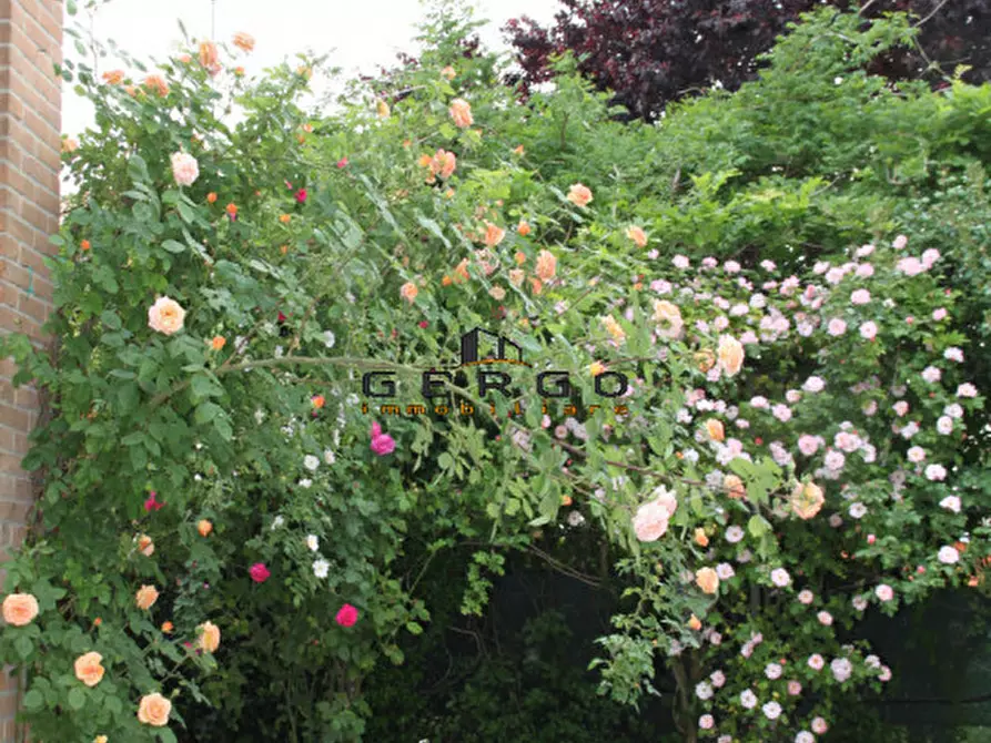 Immagine 18 di Villa in vendita  in Via Roma a San Biagio Di Callalta