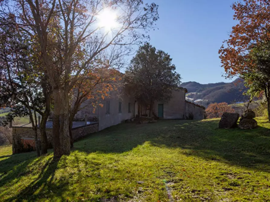 Immagine 2 di Rustico / casale in vendita  in Località Ca' Bacchio a Pietrarubbia