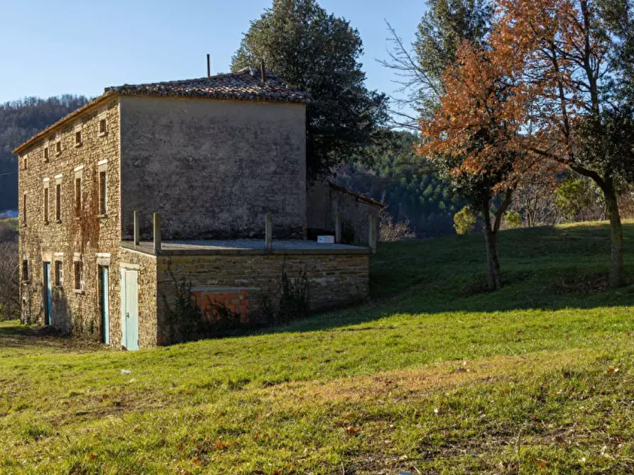 Immagine 21 di Rustico / casale in vendita  in Località Ca' Bacchio a Pietrarubbia