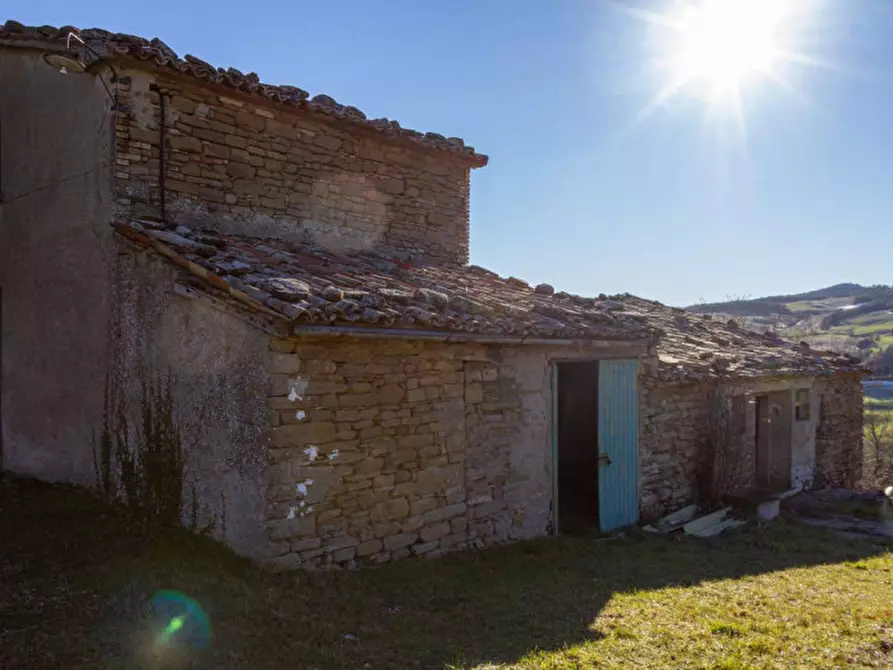 Immagine 28 di Rustico / casale in vendita  in Località Ca' Bacchio a Pietrarubbia