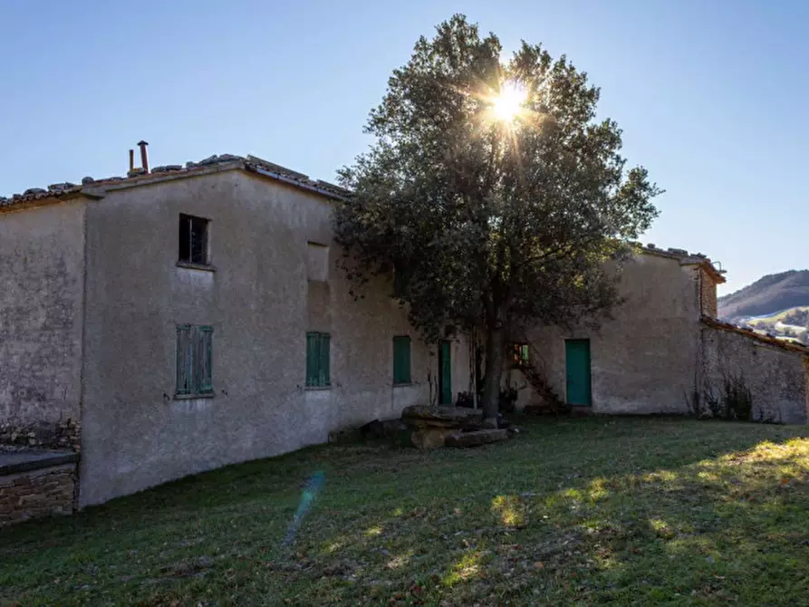 Immagine 29 di Rustico / casale in vendita  in Località Ca' Bacchio a Pietrarubbia