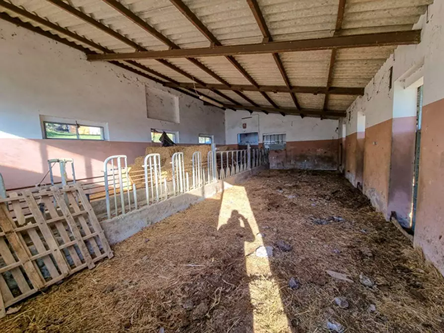 Immagine 32 di Rustico / casale in vendita  in Località Ca' Bacchio a Pietrarubbia