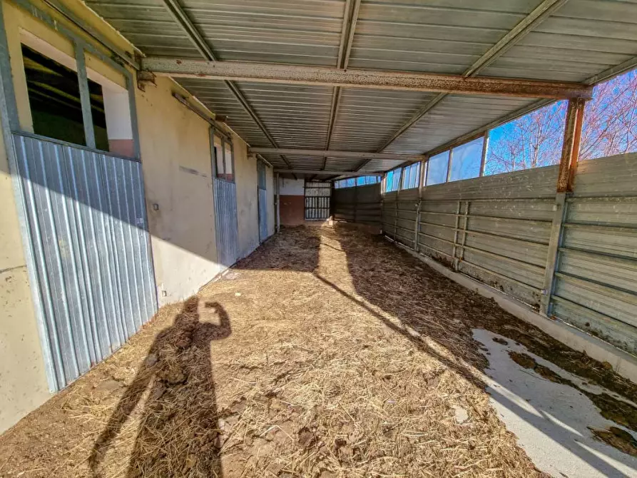 Immagine 33 di Rustico / casale in vendita  in Località Ca' Bacchio a Pietrarubbia