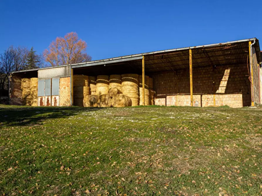 Immagine 34 di Rustico / casale in vendita  in Località Ca' Bacchio a Pietrarubbia
