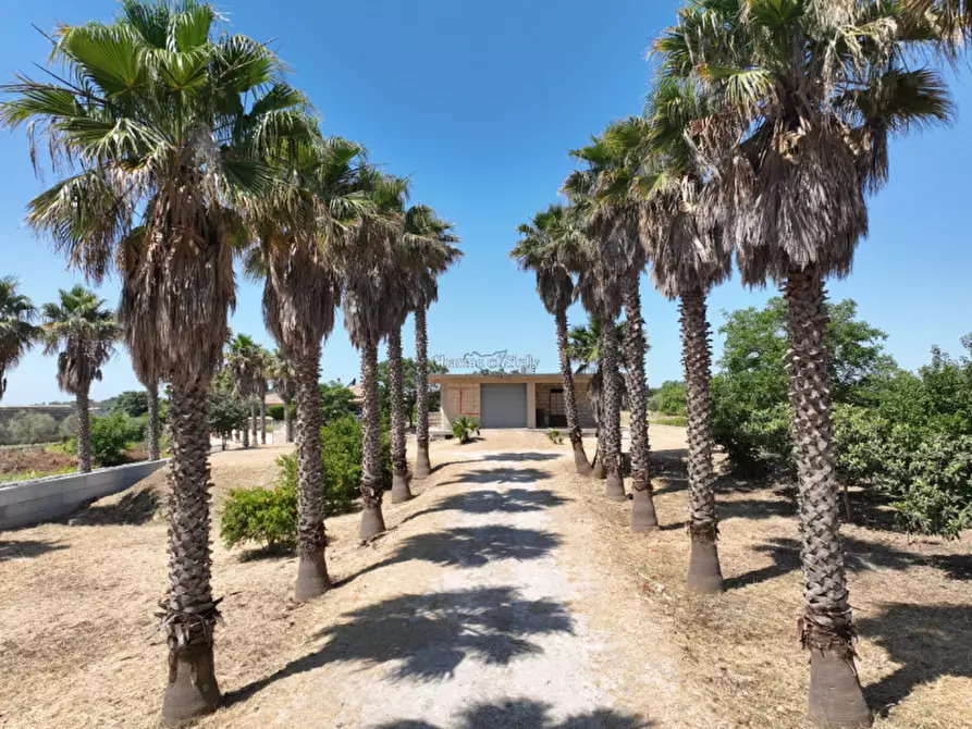 Immagine 6 di Villa in vendita  in Via Torre Cannata a Modica