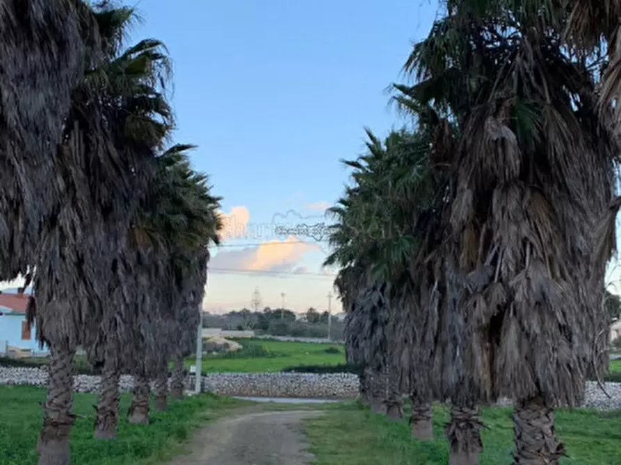 Immagine 13 di Rustico / casale in vendita  in Via Torre Cannata a Modica