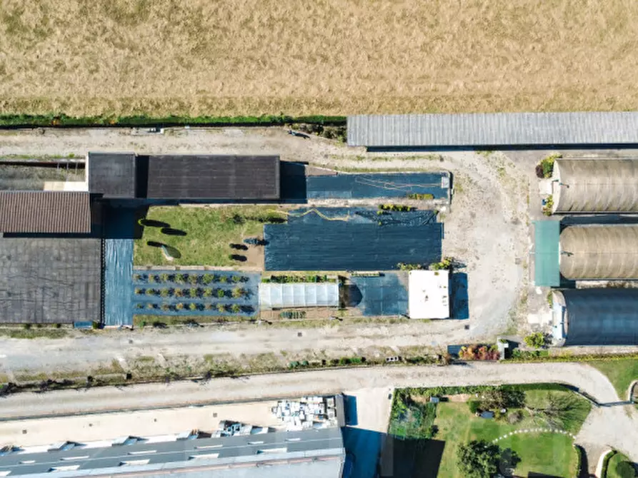 Immagine 3 di Attività commerciale in vendita  in strada statale biellese 142 a Borgomanero