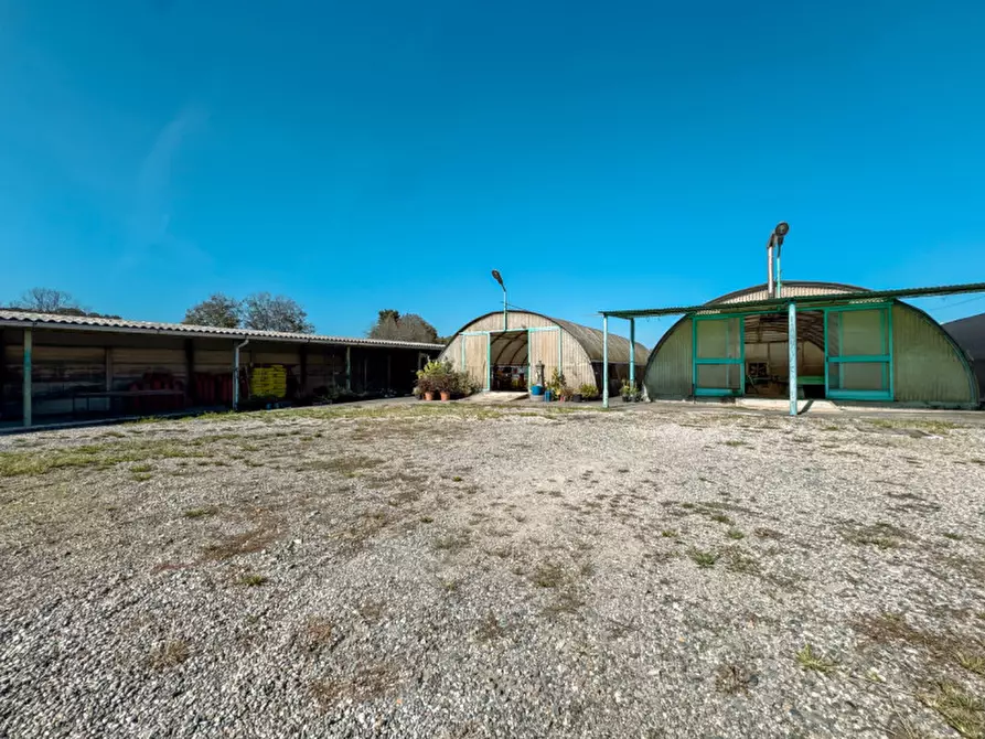 Immagine 4 di Attività commerciale in vendita  in strada statale biellese 142 a Borgomanero