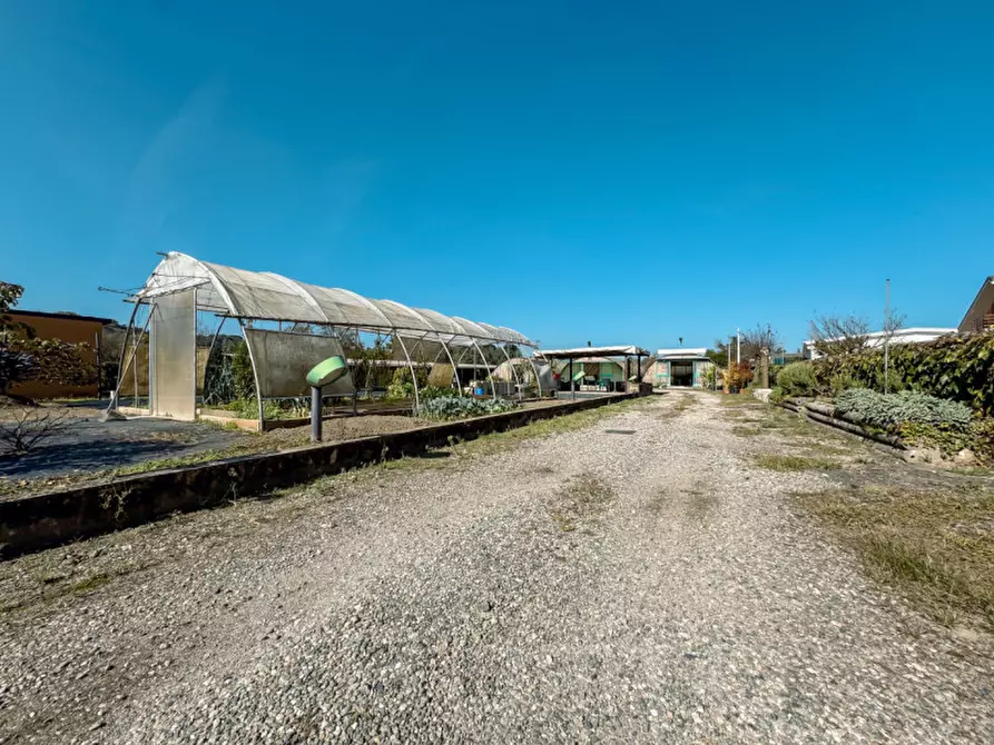 Immagine 5 di Attività commerciale in vendita  in strada statale biellese 142 a Borgomanero