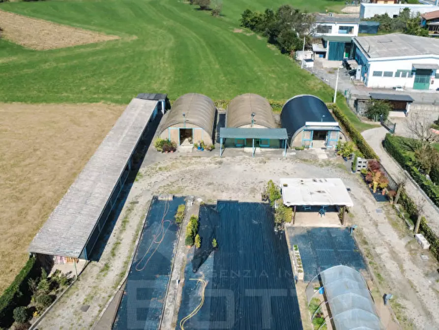 Immagine 7 di Attività commerciale in vendita  in strada statale biellese 142 a Borgomanero