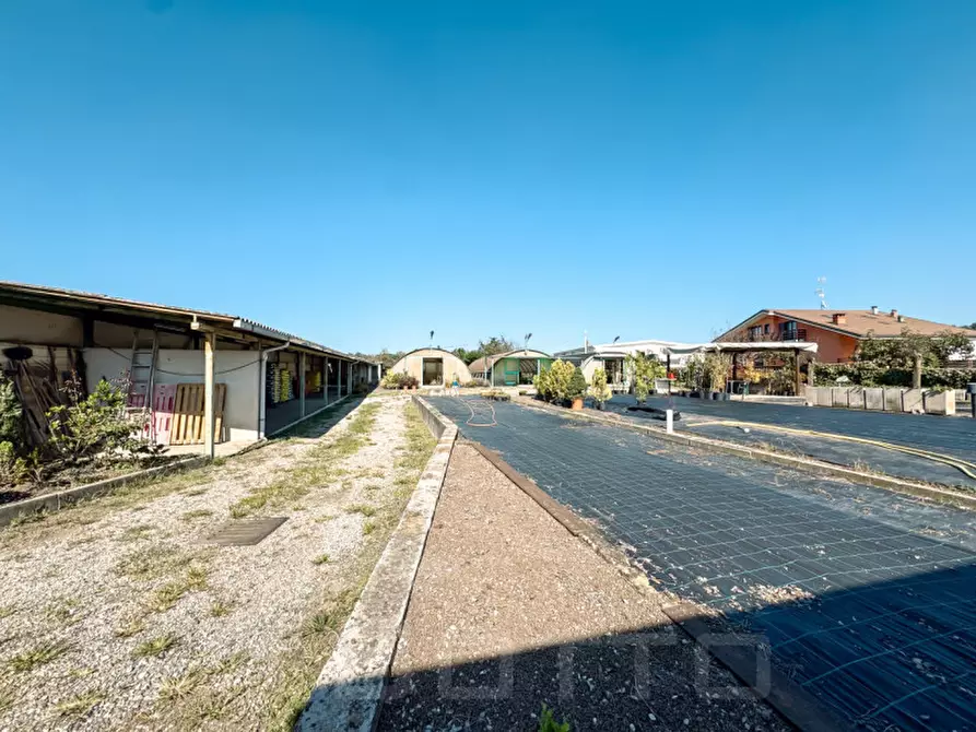 Immagine 10 di Attività commerciale in vendita  in strada statale biellese 142 a Borgomanero