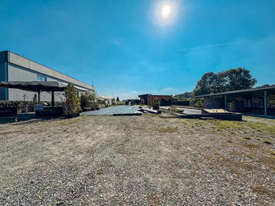 Immagine 12 di Attività commerciale in vendita  in strada statale biellese 142 a Borgomanero