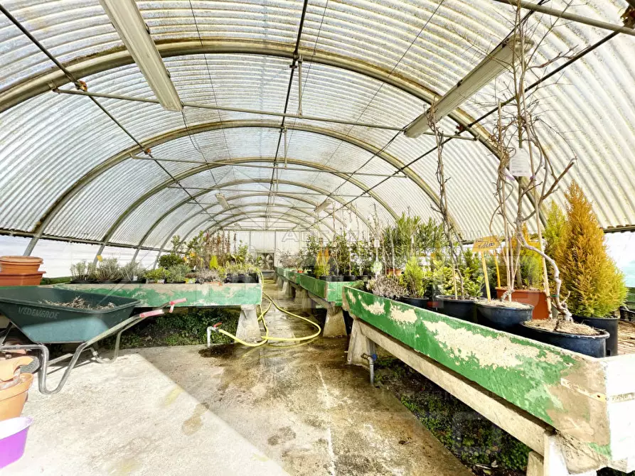 Immagine 13 di Attività commerciale in vendita  in strada statale biellese 142 a Borgomanero