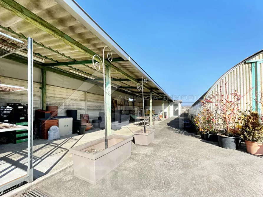 Immagine 14 di Attività commerciale in vendita  in strada statale biellese 142 a Borgomanero