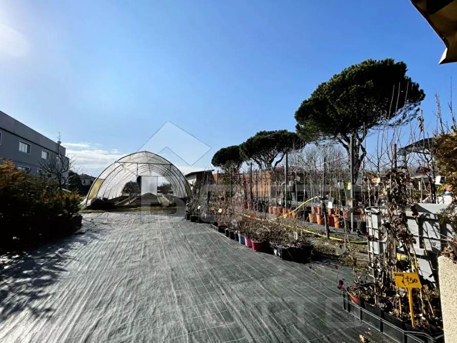 Immagine 15 di Attività commerciale in vendita  in strada statale biellese 142 a Borgomanero