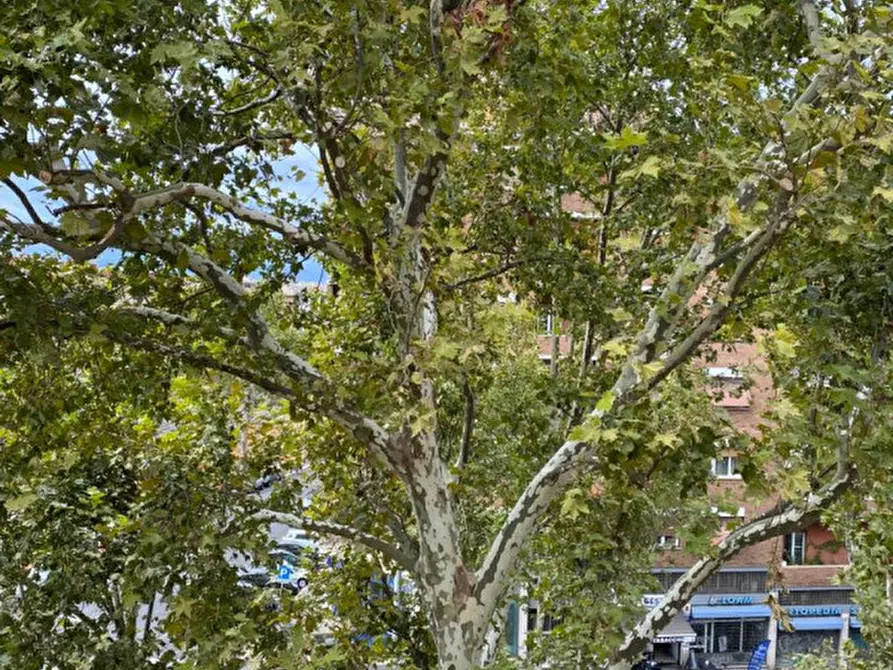 Immagine 41 di Appartamento in vendita  in VIA NOMENTANA a Roma