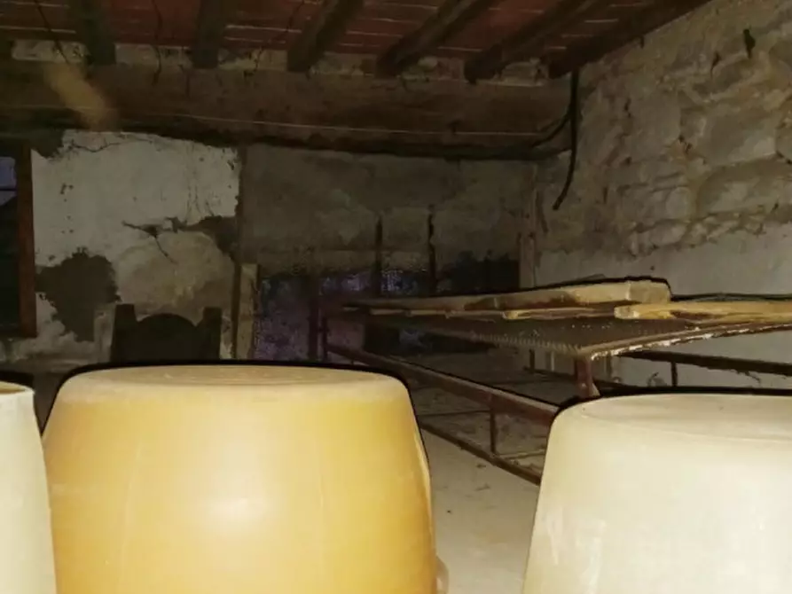 Immagine 15 di Villetta a schiera in vendita  in Persignano a Terranuova Bracciolini