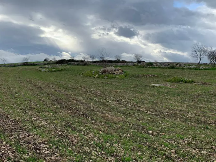 Immagine 4 di Casa indipendente in vendita  in contrada Monte a Ragusa