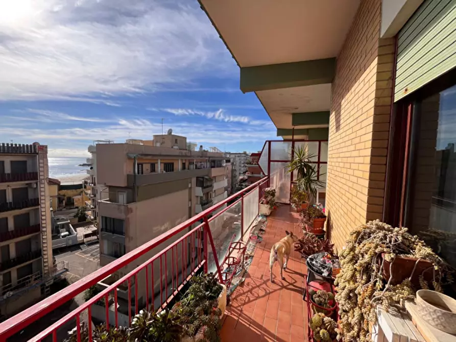 Immagine 8 di Attico in vendita  in Via Venezia a Nettuno