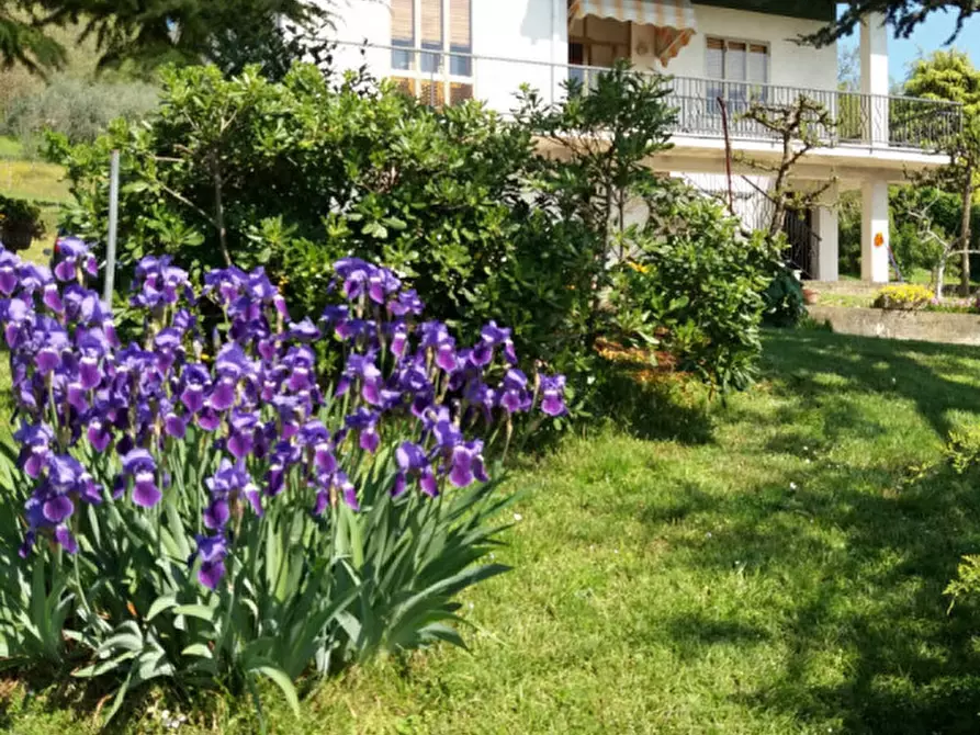 Immagine 1 di Casa indipendente in vendita  a Lozzo Atestino