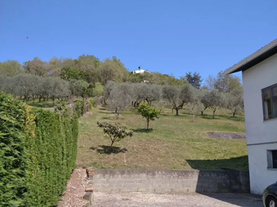 Immagine 20 di Casa indipendente in vendita  a Lozzo Atestino