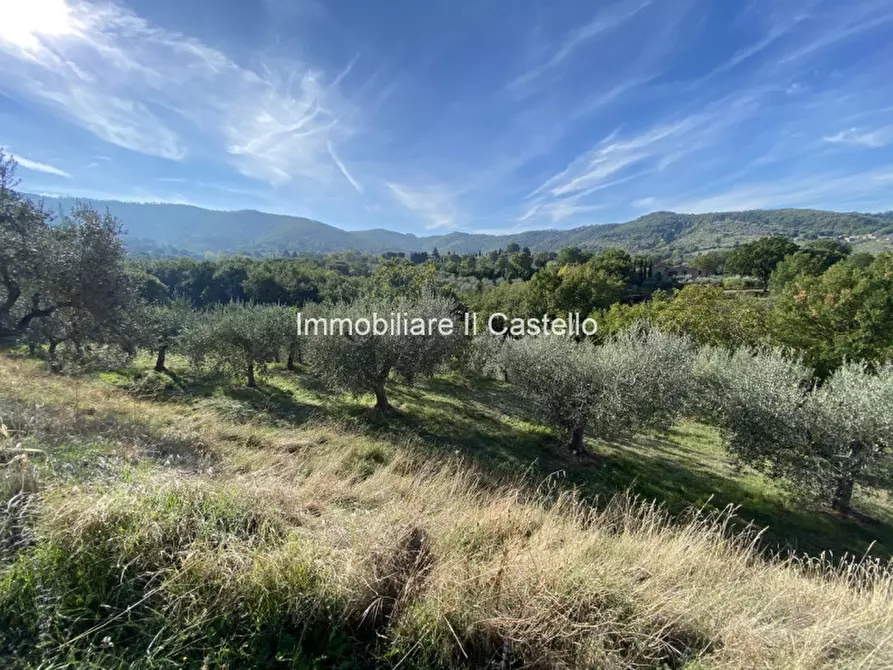 Immagine 3 di Terreno in vendita  a Paciano