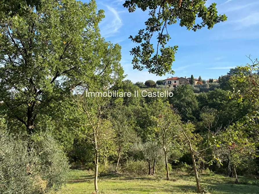 Immagine 5 di Terreno in vendita  a Paciano