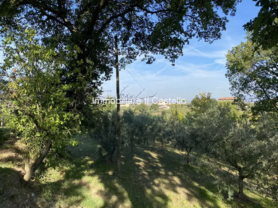 Immagine 7 di Terreno in vendita  a Paciano