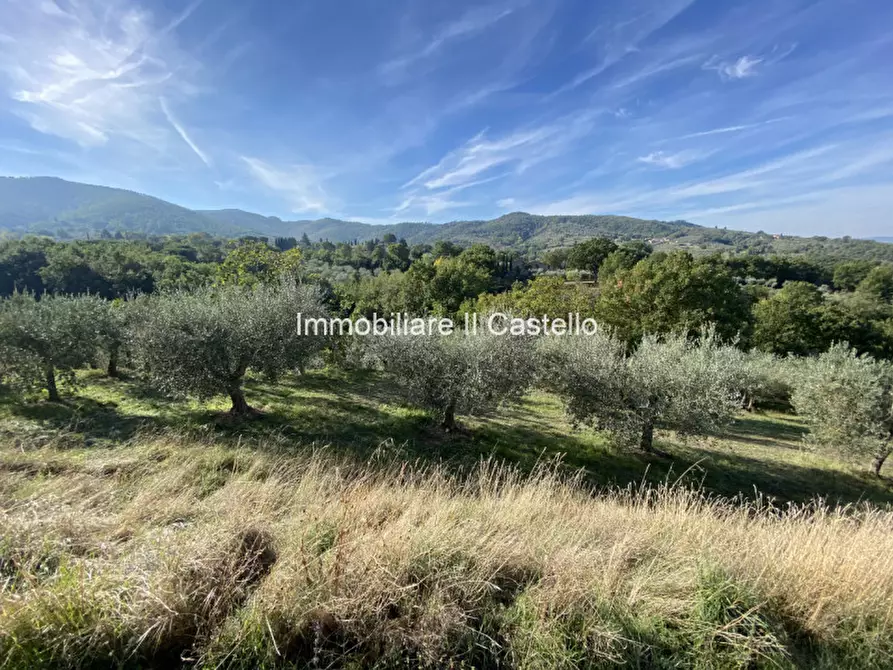 Immagine 8 di Terreno in vendita  a Paciano