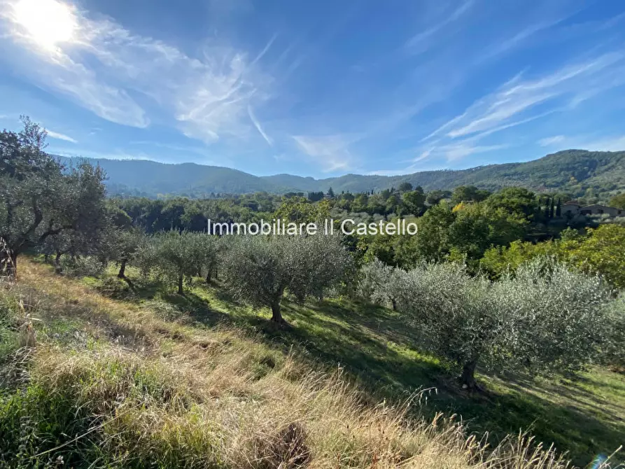 Immagine 9 di Terreno in vendita  a Paciano