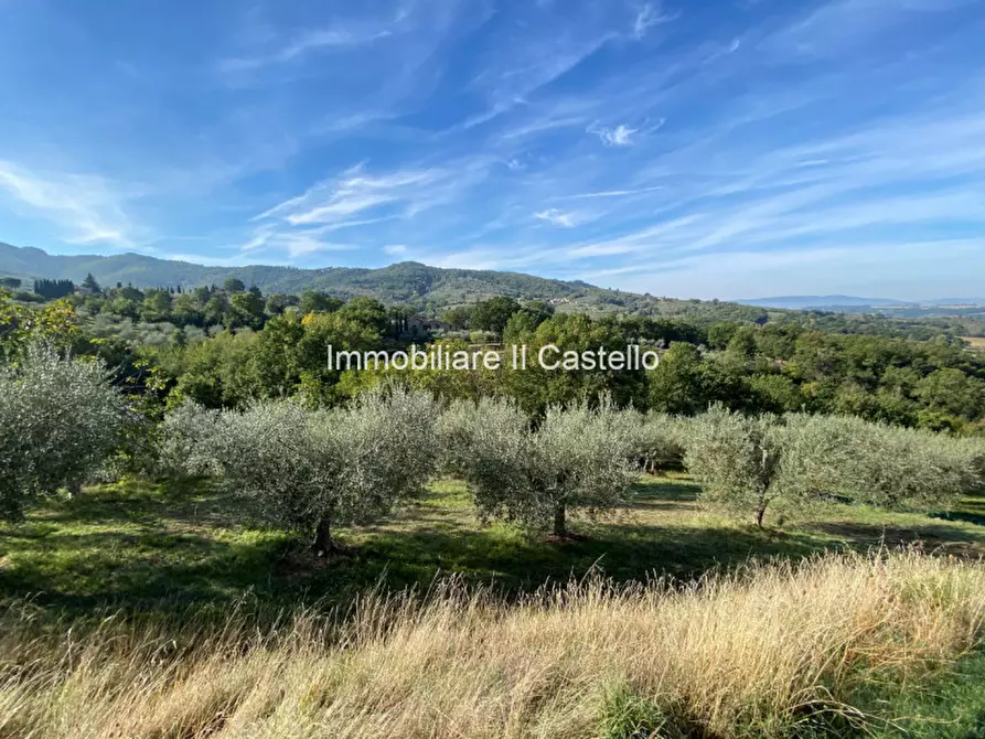 Immagine 10 di Terreno in vendita  a Paciano