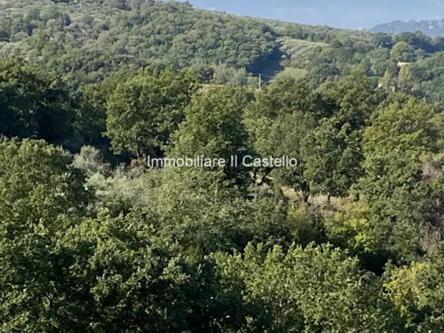 Immagine 11 di Terreno in vendita  a Paciano