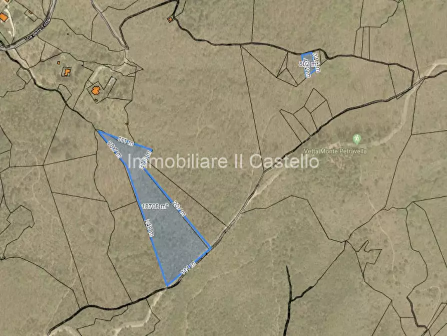 Immagine 12 di Terreno in vendita  a Paciano