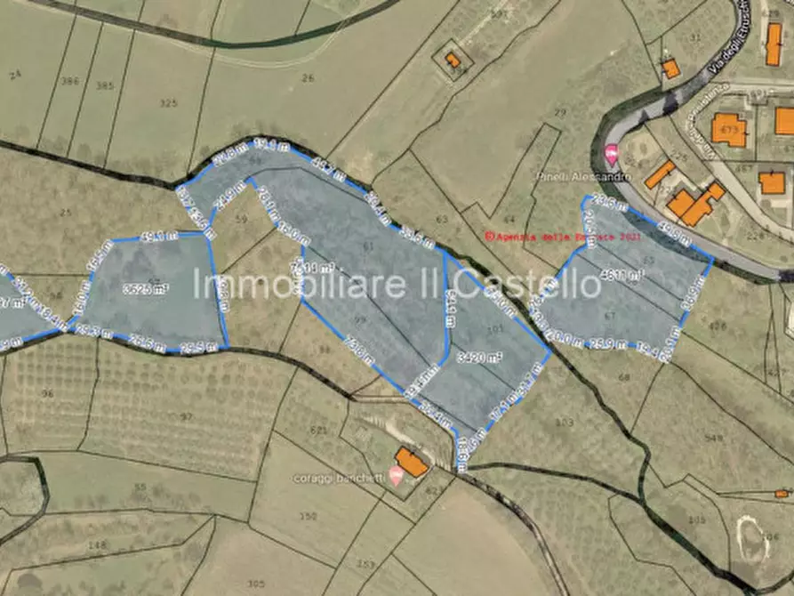 Immagine 13 di Terreno in vendita  a Paciano