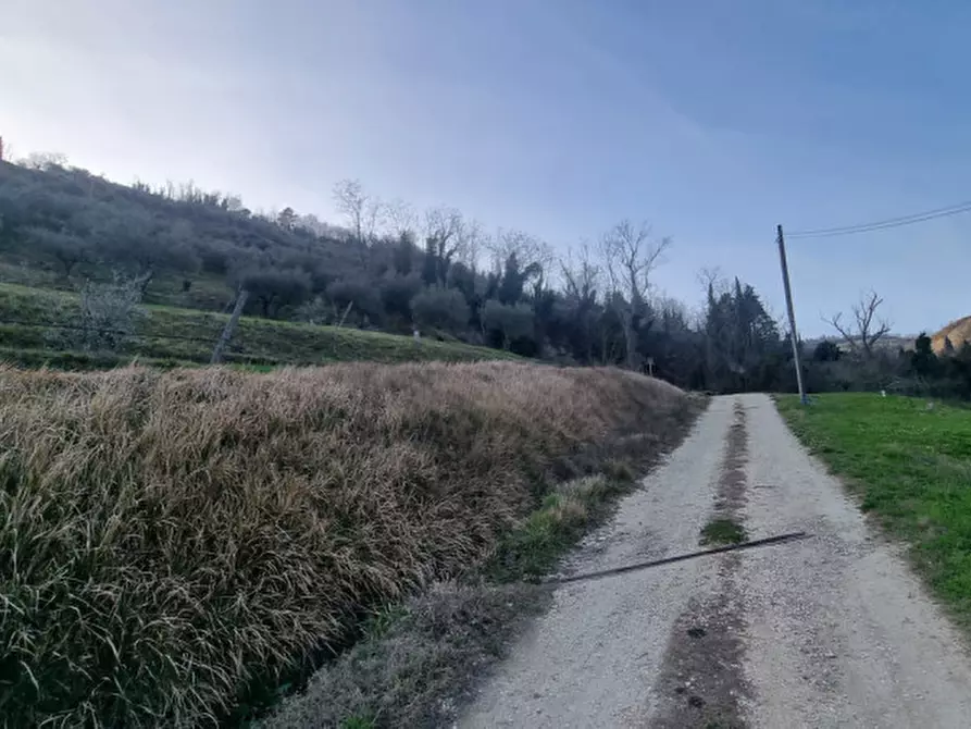 Immagine 2 di Terreno in vendita  a Brisighella