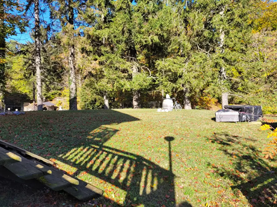 Immagine 22 di Appartamento in vendita  in via malga a Madruzzo